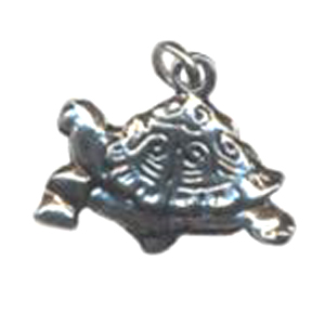 CH4 - tortoise charm