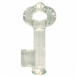 CGP65S-95 - Swarovski key pendant - crystal silver shade