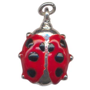 CH10&nbsp;ladybird