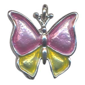 CH8 - butterfly
