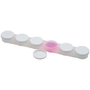 S92&nbsp;6 compartment bead caddy