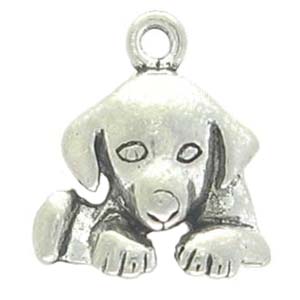 PR34&nbsp;dog