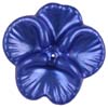 PF27 P bright